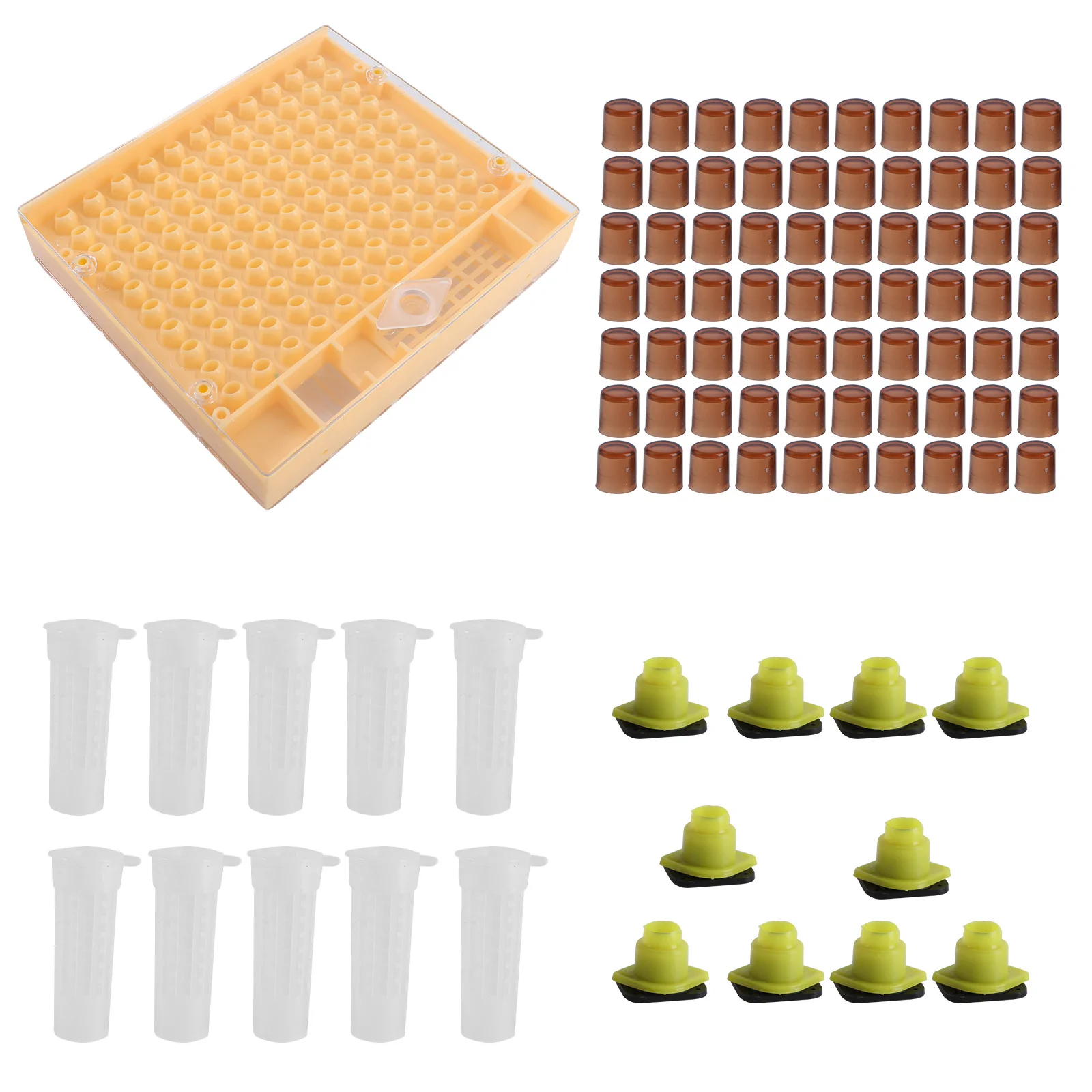 

Queen Rearing Kit Plastic Lightweight Bee Equipment for Beekeeper Apiculture Box Beekeeping Supplies Accessories