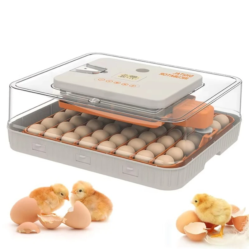 

56H Egg Incubator with Automatic Temperature Humidity Control High Hatch Rate