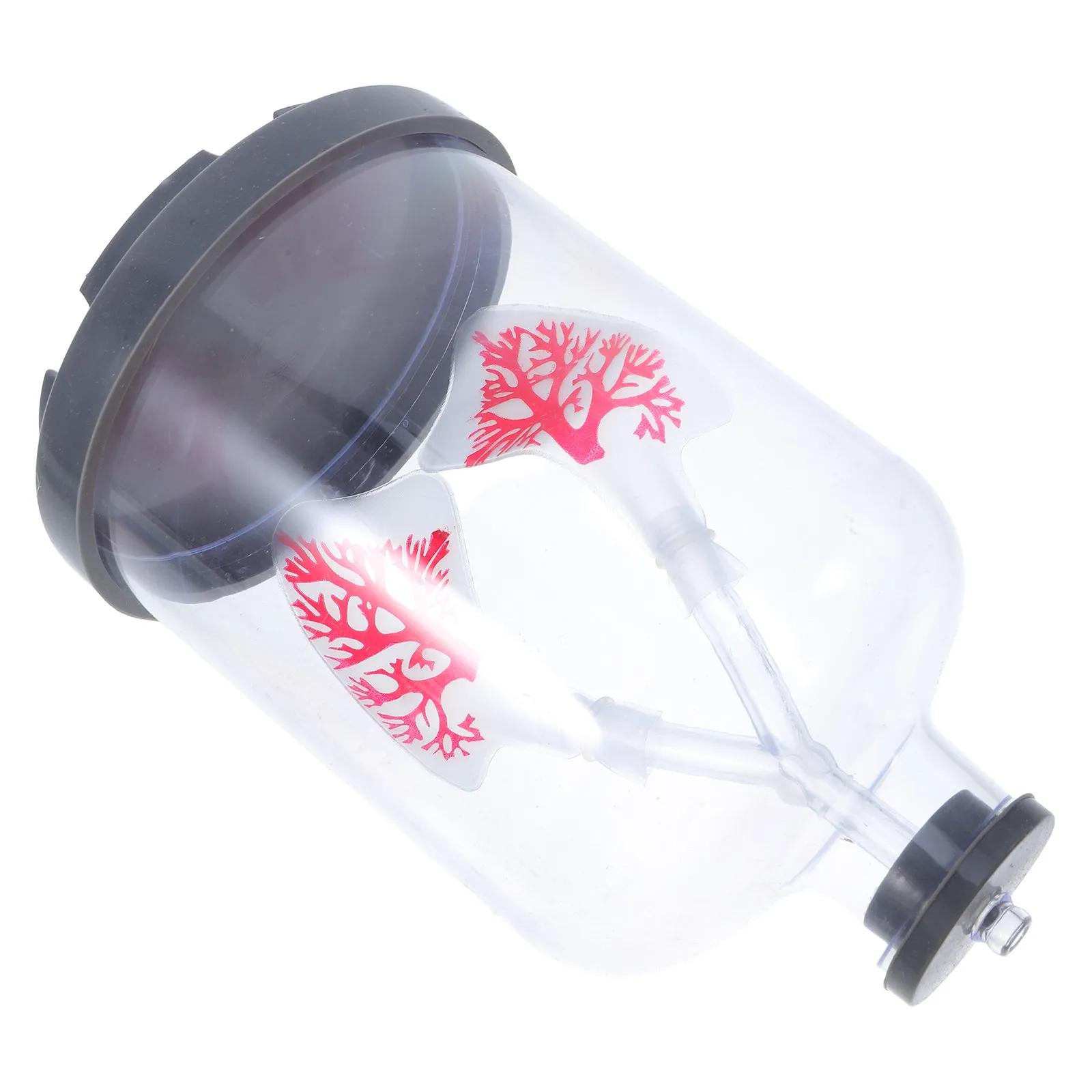 Human Lung Breathing Model Diaphragm Movement Respiratory Function Teaching Experiment Study Tool