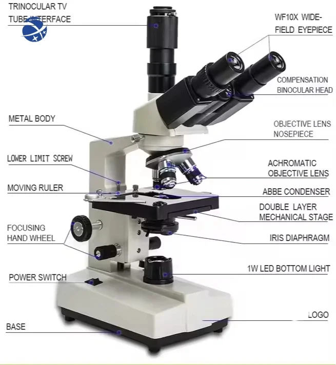 Binocular microscope XSZ-107BN 40X-1600X Biological microscope Medical microscope