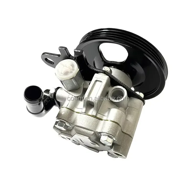 Almera Power Steering Pump 49110-95F0A