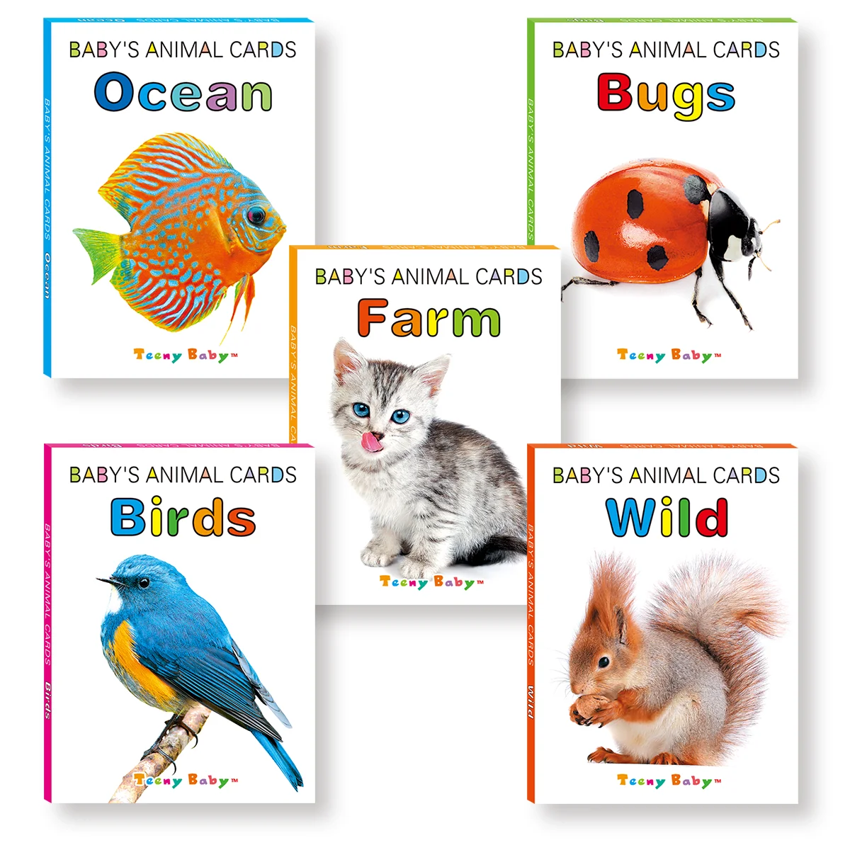 English Kids' Cognitive Animal Cards: Farm, Birds, Fish, Insects, Wild Animals, Ages 2-5, Colorful, Names on Back, Educational