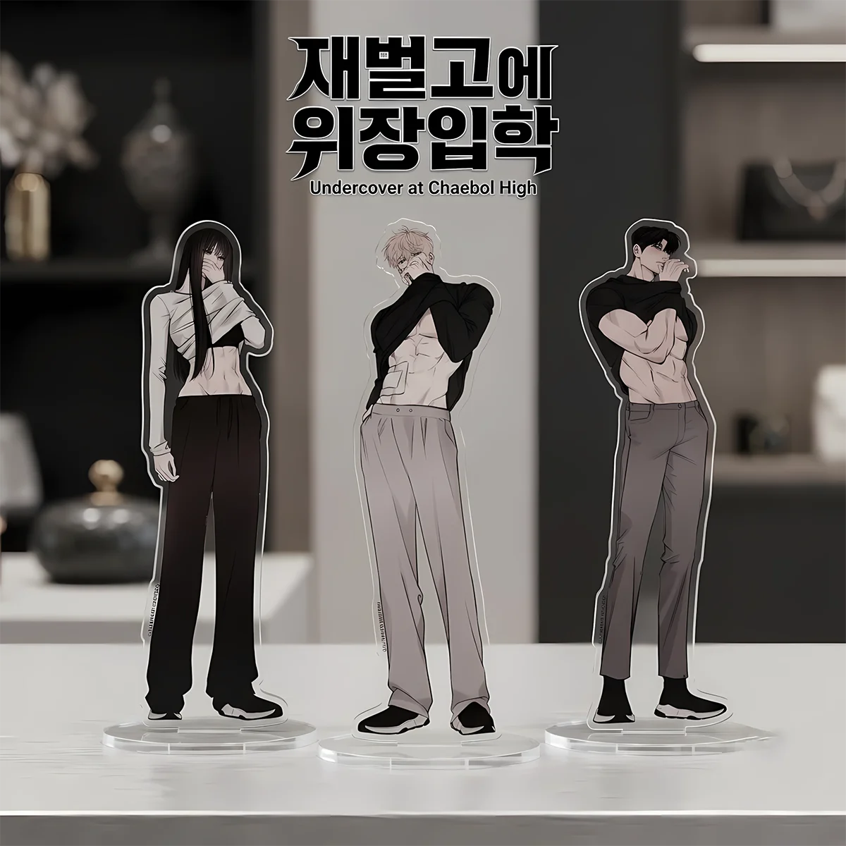Anime Undercover at Chaebol High LD Acrylic Combo Set, Halloween Present, Desktop Decor Anime Merch Otaku keychain