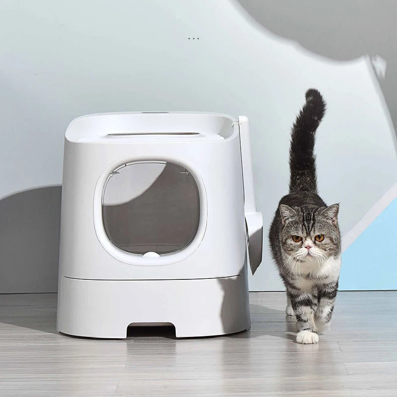 Π’ΡΠ°Π»Π΅ΡΠ½Π°Ρ Π»ΠΎΠΏΠ°ΡΠ°, ΠΊΠΎΡΠ°ΡΡΠΈ ΠΏΠΎΠ΄Π½ΠΎΠΆΠΊΠΈ, Π²ΠΈΠ»Π»Π°, Π²Π°Π½Π½Π°Ρ ΠΊΠΎΠΌΠ½Π°ΡΠ°, Π΄ΠΎΡΠΎΠΆΠ½ΡΠΉ ΠΊΠΎΠ²Π΅Ρ, ΠΏΠΎΠΊΡΡΡΡΠ΅ ΠΊΠΎΡΠ°ΡΡΠΈΠΌΠΈ ΠΏΠΎΠ΄Π½ΠΎΠΆΠΊΠ°ΠΌΠΈ, ΠΏΠ΅ΡΠΎΡΠ½ΠΈΡΠ°, Π³ΠΈΠ³ΠΈΠ΅Π½ΠΈΡΠ΅ΡΠΊΠ°Ρ Kuweta Dla Kota, ΠΊΠΎΡΠ°ΡΠΈΠΉ ΡΡΠ°Π»Π΅Ρ, Π΄ΠΎΠΌ Π’ΡΠ°Π»Π΅ΡΠ½Π°Ρ Π»ΠΎΠΏΠ°ΡΠ°, ΠΊΠΎΡΠ°ΡΡΠΈ ΠΏΠΎΠ΄Π½ΠΎΠΆΠΊΠΈ, Π²ΠΈΠ»Π»Π°, Π²Π°Π½Π½Π°Ρ ΠΊΠΎΠΌΠ½Π°ΡΠ°, Π΄ΠΎΡΠΎΠΆΠ½ΡΠΉ ΠΊΠΎΠ²Π΅Ρ, ΠΏΠΎΠΊΡΡΡΡΠ΅ ΠΊΠΎΡΠ°ΡΡΠΈΠΌΠΈ ΠΏΠΎΠ΄Π½ΠΎΠΆΠΊΠ°ΠΌΠΈ, ΠΏΠ΅ΡΠΎΡΠ½ΠΈΡΠ°, Π³ΠΈΠ³ΠΈΠ΅Π½ΠΈΡΠ΅ΡΠΊΠ°Ρ Kuweta Dla Kota, ΠΊΠΎΡΠ°ΡΠΈΠΉ ΡΡΠ°Π»Π΅Ρ, Π΄ΠΎΠΌ