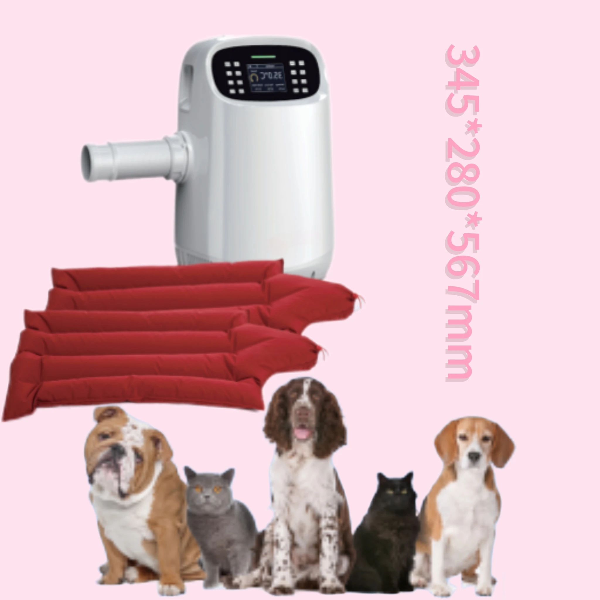Animal Hospital Doctor Use Veterinary Diagnostic Equipment Monitor
