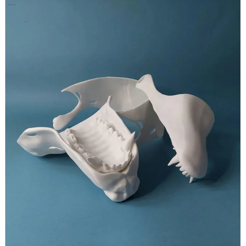 

CyKigurumi Base Beast Skull Mask Cosplay Fursuit Animal Wolf Head Skull Proboscis 3d Printing Masks Halloween Party Canine Teeth