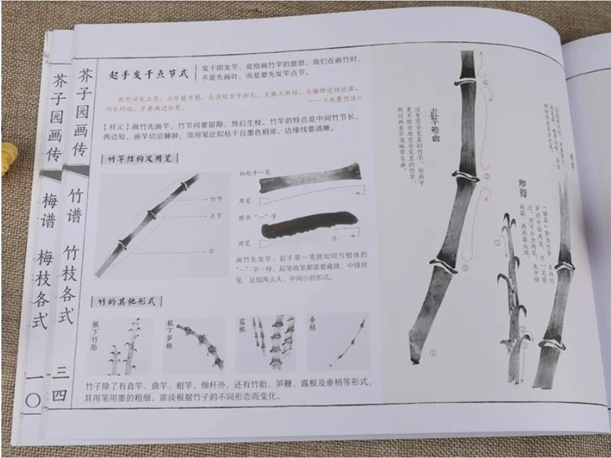 Traditional Chinese Mustard Seed Garden Ink Brush Painting Drawing Book Art for Plum Orchid, Bamboo and Chrysanthemum