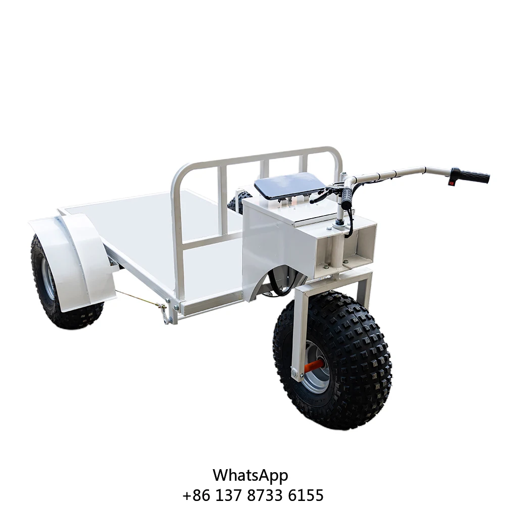 Wholesale Beach Snack Gourmet Ice Cream Cart Display Tricycle Ice Cream Cart Electric Trolley Ice Cream Hand Cart