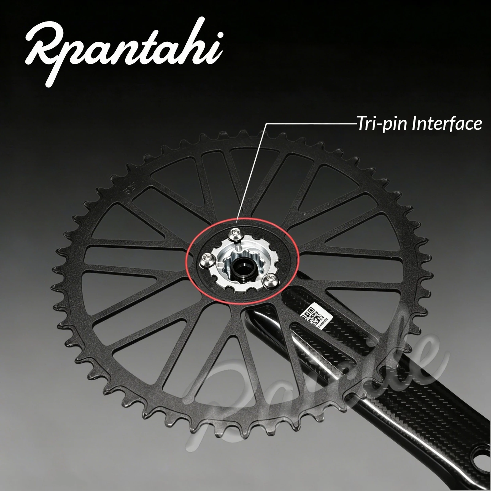 RPANTAHI 탄소 섬유 산악 자전거/접이식 자전거  - Left Crank Arm Power Meter 리뷰 및 가격