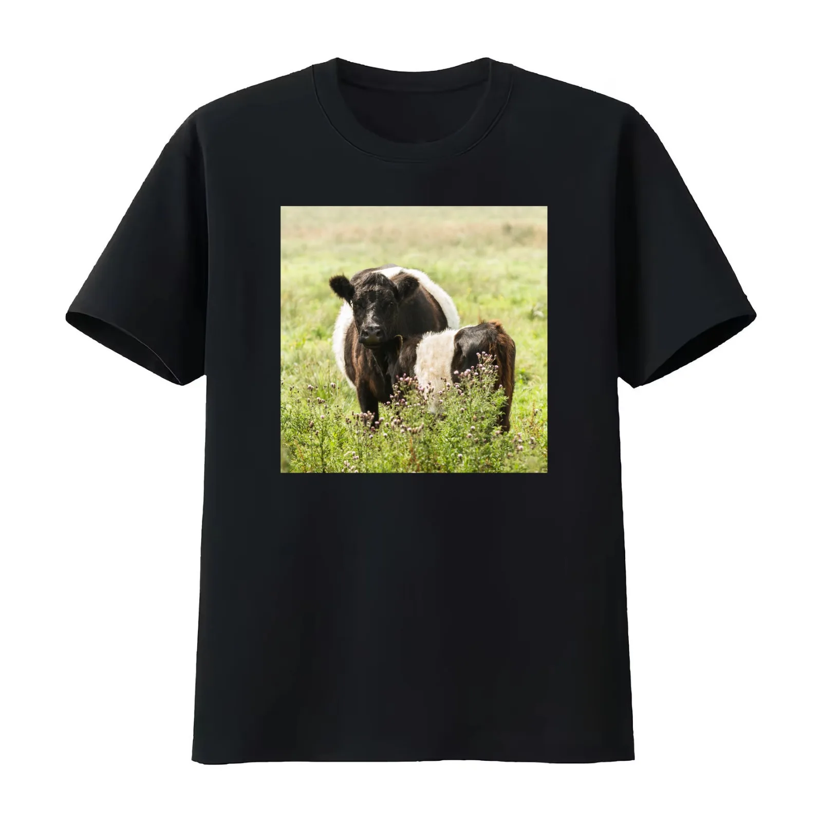 Belted Galloway Cows II T-Shirt Summer Casual Cotton Tee Oversized Streetwear Tops Vintage Graphic Print Unisex Men Women