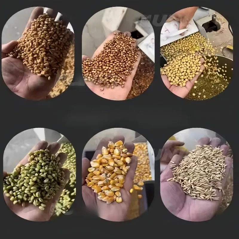 Industrial Grain Cleaner for Feed Mill Large Capacity Corn Soybean Rapeseed Sorter Machine