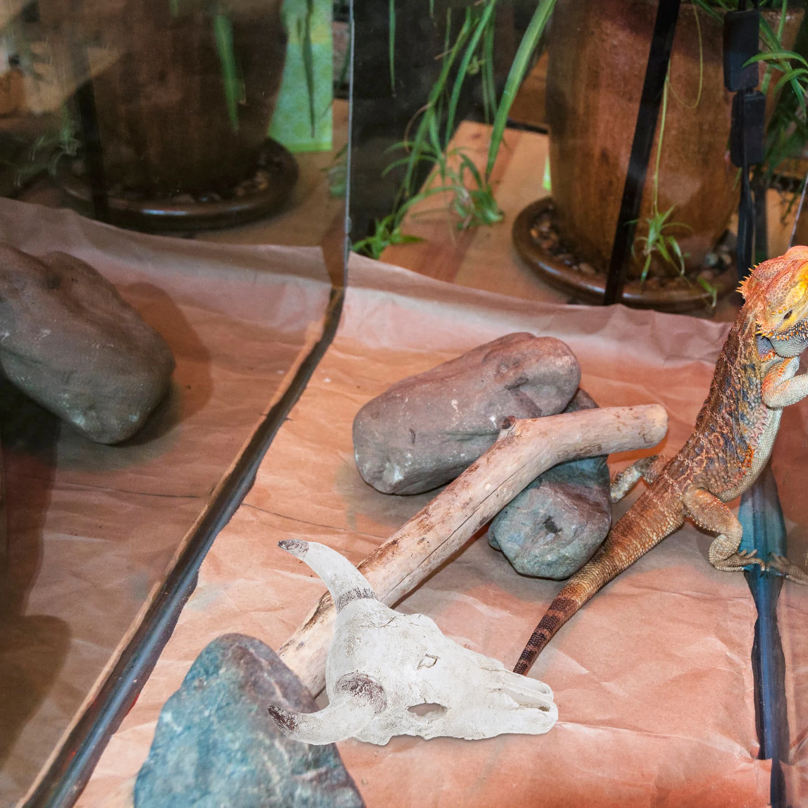 

Cow Skull Reptile Tank Decor Bearded Mister Gecko Hideout Easy Clean Bull Skulls Aquarium Fall TORTOISE Fake