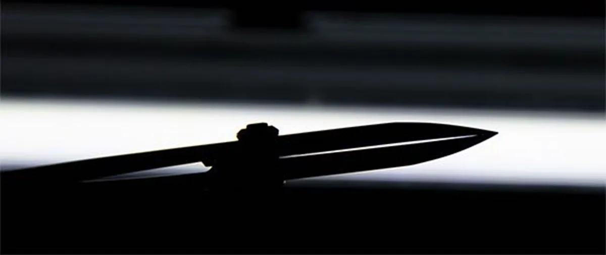 Material-Upgrade: Professionelle 210 mm lange Schere aus 5Cr15MoV-Legierungsstahl, Bonsai-Werkzeuge von TianBonsai – Detail 17