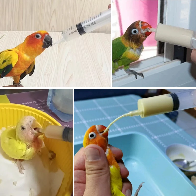 10/20/60/100ML Poultry Bird Feeding Syringe Pet Parrot Pigeon Quail Feeding Immature Animal Feeding Accessories