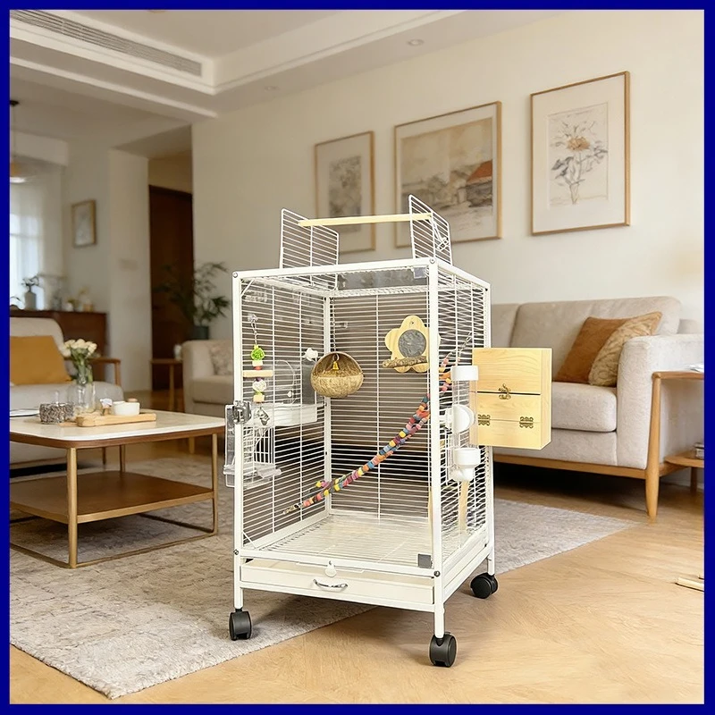 High definition glass ornamental parrot  splashing cage bird  tiger skin Xuanfeng starling villa breeding