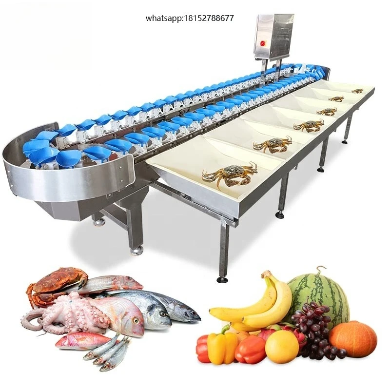 Automatic Fruit Live Fish Orange Potato Size Weight Sort Sorting Grading Grader Machine by System