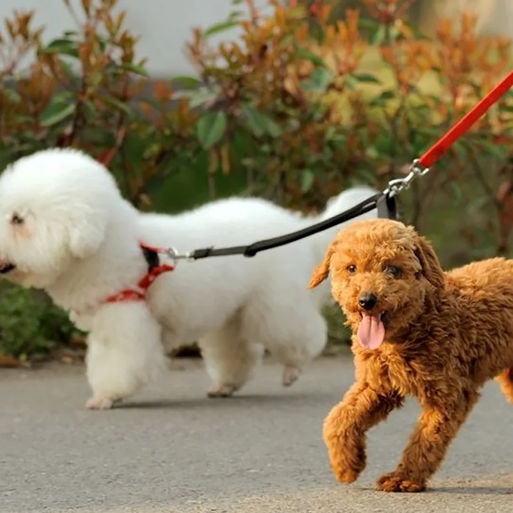 Double Dog Leash 360 Swivel No Tangle Walking Leash Shock Absorbing Bungee for Two Dogs Retractable Elastic Luminous Dog Leash