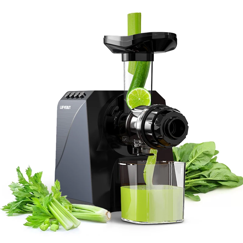 250W Electric Cold-Pressed Juicer Multi-Function Slow Press with 5-in-1 Heads for Vegetables and Fruits