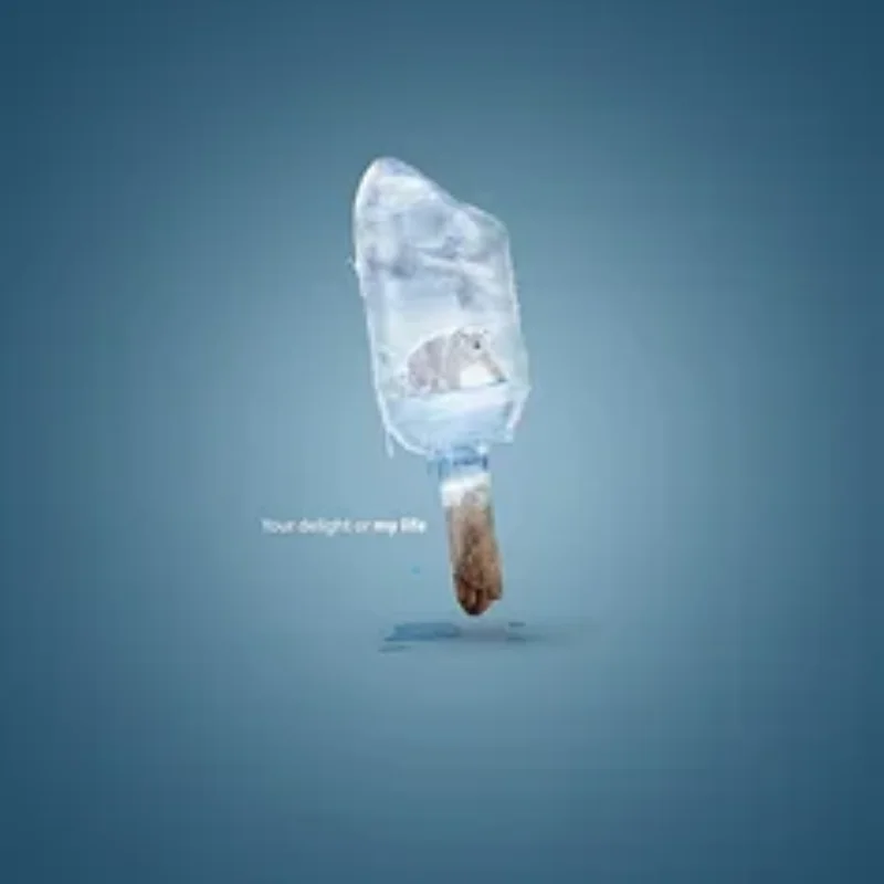 

Front Lights LED Lamp Headlight for LOSI 1/4 Promoto-MX Motorcycle Upgrade Parts Accessories