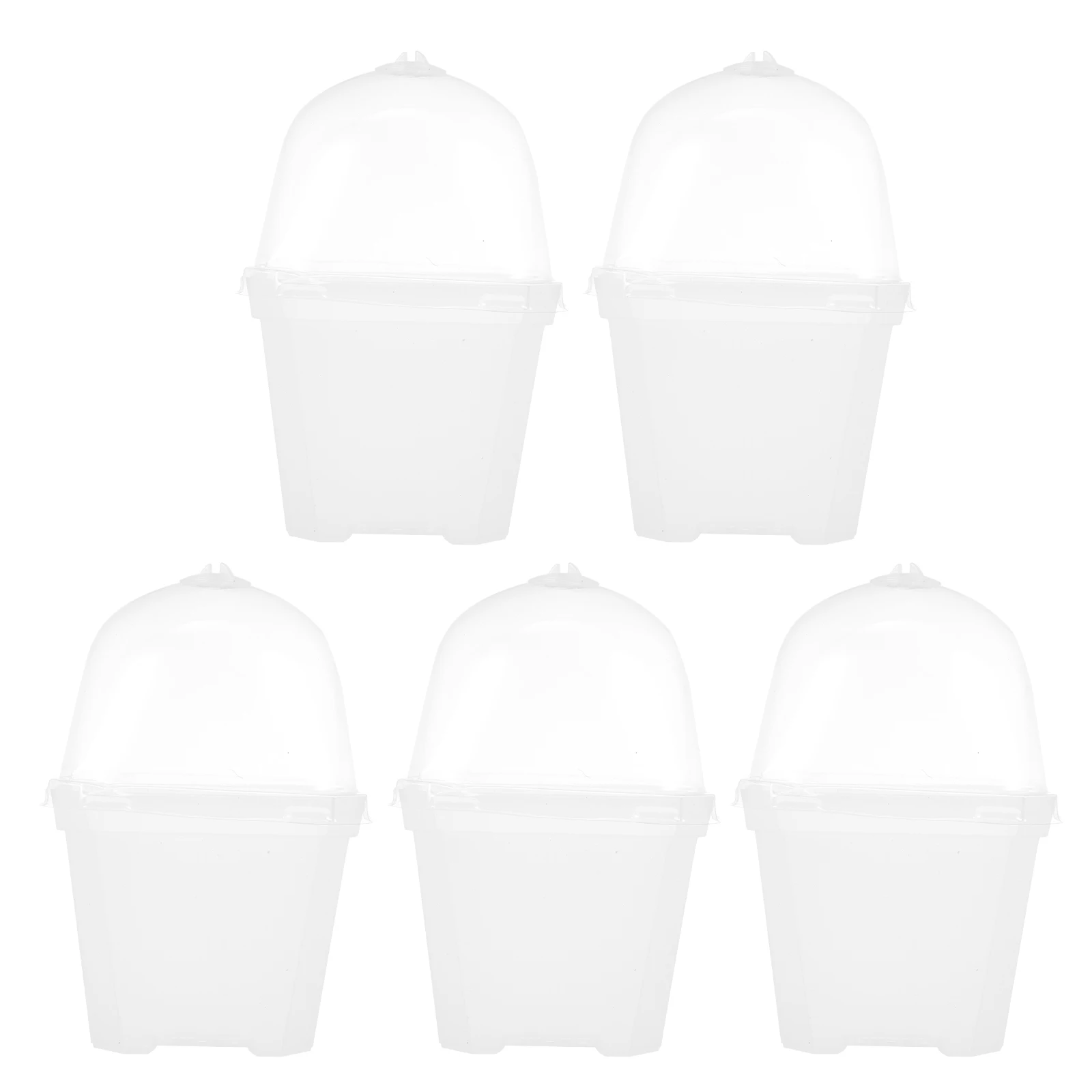 

5 Pcs Seedling Flower Pots Durable Plastic Translucent Cover Germination Tools Sprouting Wheat Grass Vanilla Radish