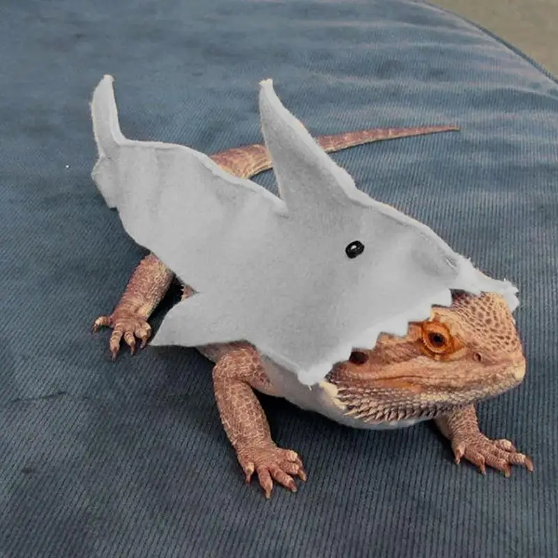 Reptile Critter Lizard Shark Costume For Bearded Dragon Reptiles Clothes Lizard Shark Clothes Small Pet Clothes Gecko