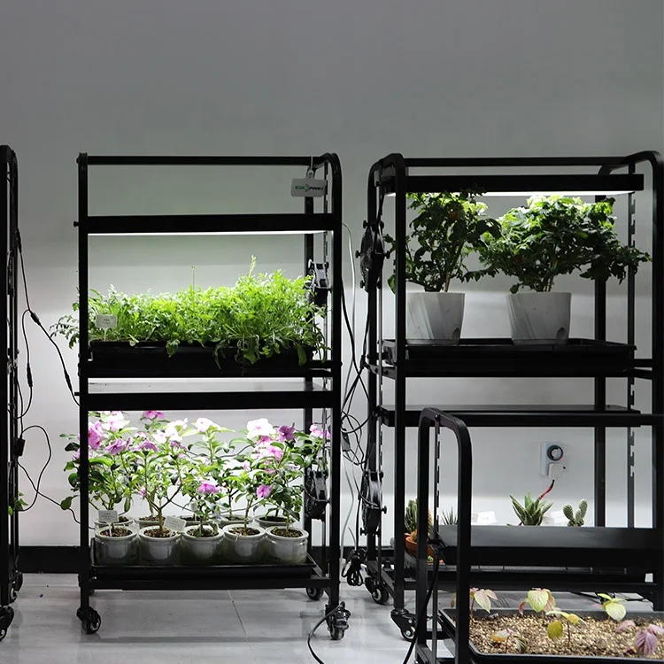 Indoor Gardening Two Tray Wheatgrass Microgreens Growing System Racks Built in Wide Spectrum Grow Lights Plant Grow Stand