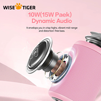 WISETIGER A46 Pink Powerful 20W Stereo Pairing Output 10W Dynamic Audio Compact Size For Outdoor Dynamic Light