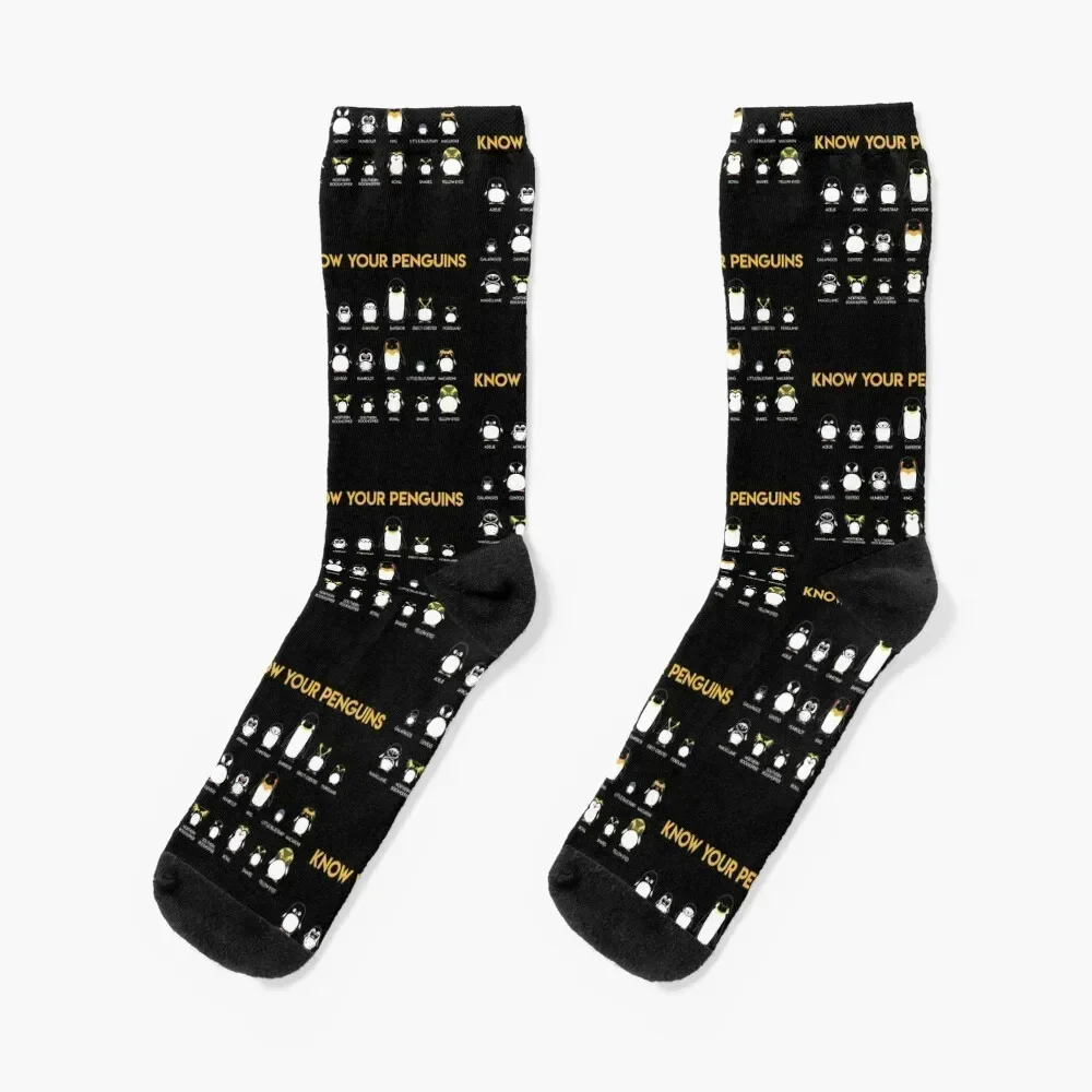 

Penguin Species Know Your Penguins Gift Socks Crossfit set kawaii japanese fashion Luxury Woman Socks Men's