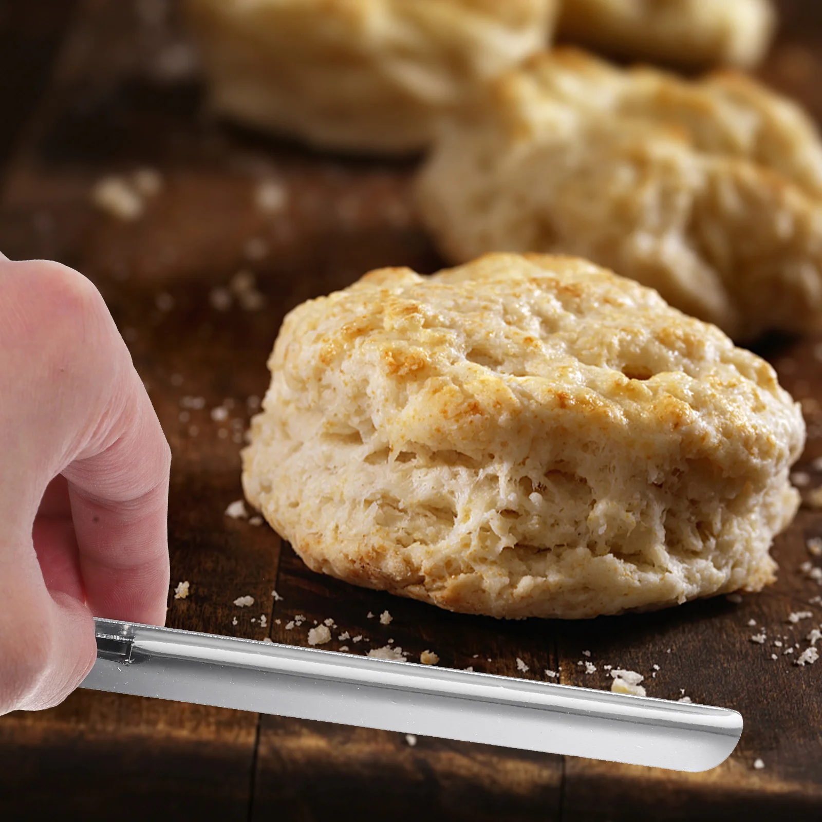 2 Pcs Bread Crumb Scraper Tabletop Cleaner Razor Blade Sweeper Brush Accessories for Home Stainless Steel Restaurant Metal