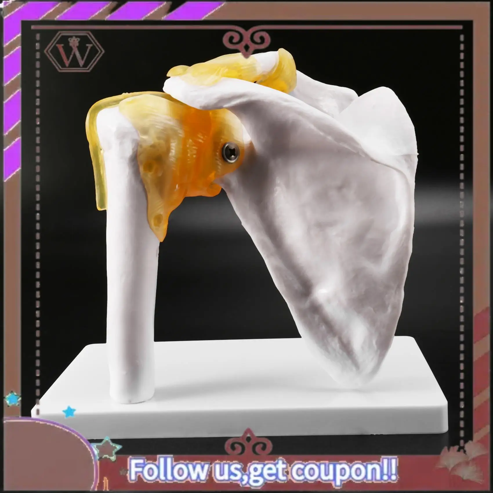 ABBG-Human Shoulder Joint Model, Anatomically Accurate Shoulder Skeleton Model Life Size Human Skeleton Anatomy For Science Clas