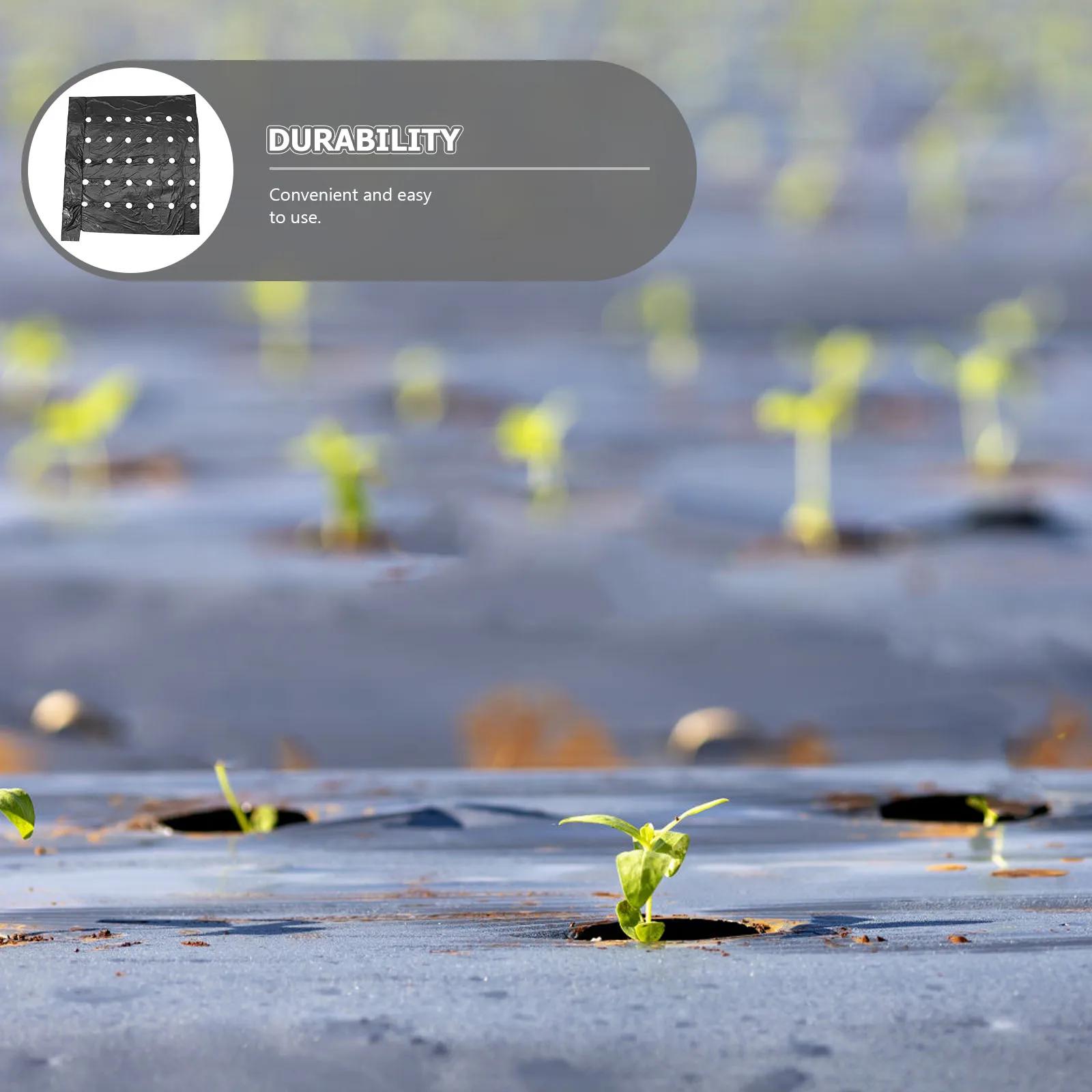 

Agricultural Film PE Material Thermal Insulation Perforated Mulching Plant Covering Cropland Accessory Soil Mulch Plastic