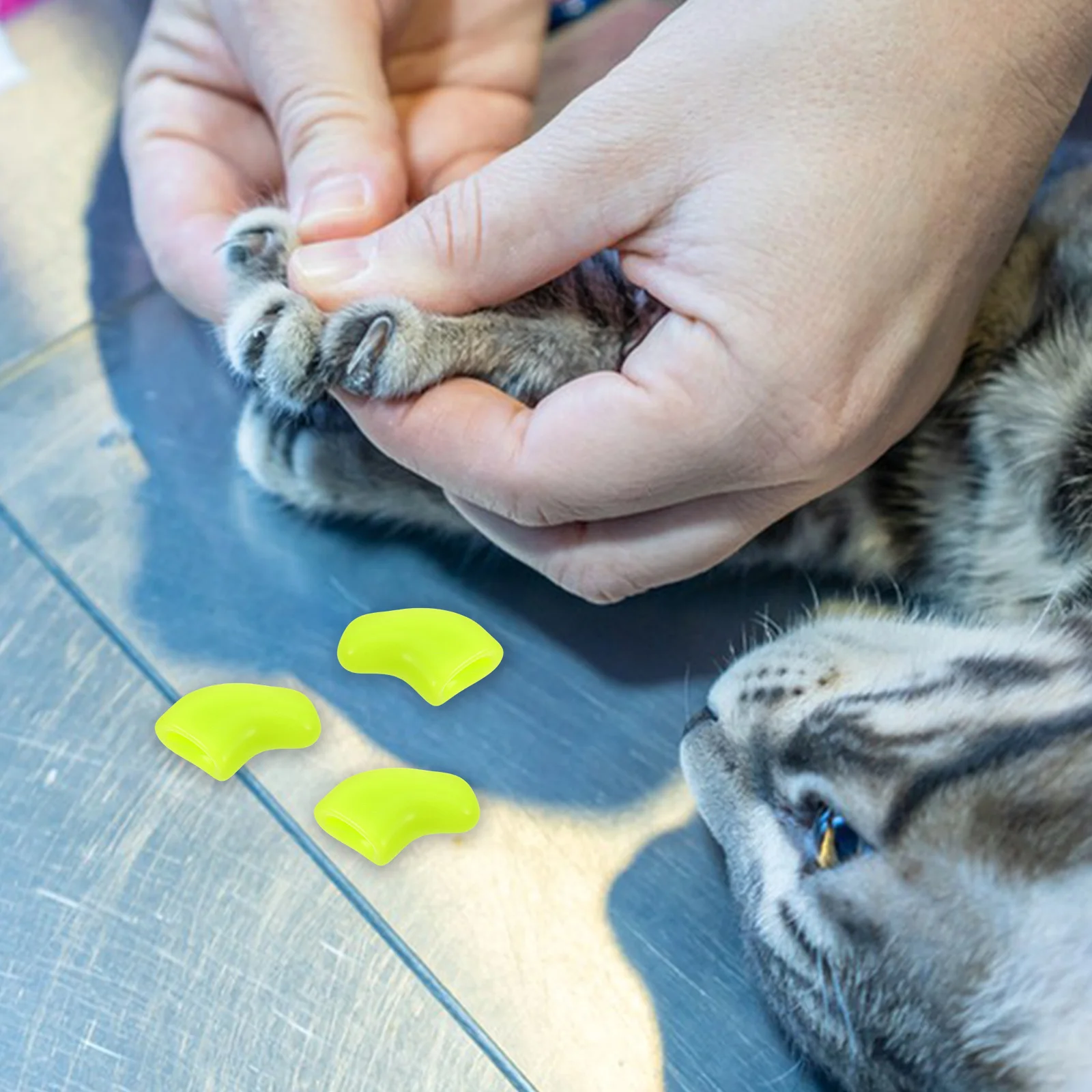 

20Pcs Tpr Cat Kitten Claw Covers Safe Material Furniture Protection Stylish Pet Accessories Indoor Cats