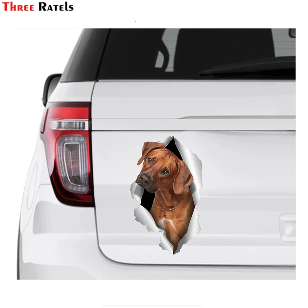 

Three Ratels I599 Funny Rhodesian Ridgeback Dog Car Sticker For Ford Focus Mk2 Vinyl Material Waterproof Protected