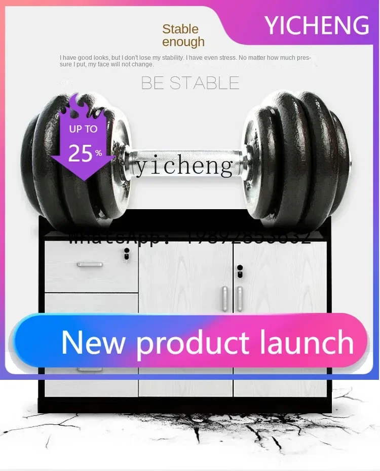 

LYY Office File Cabinet Low Cabinet Locker Wooden Strip Office File Cabinet