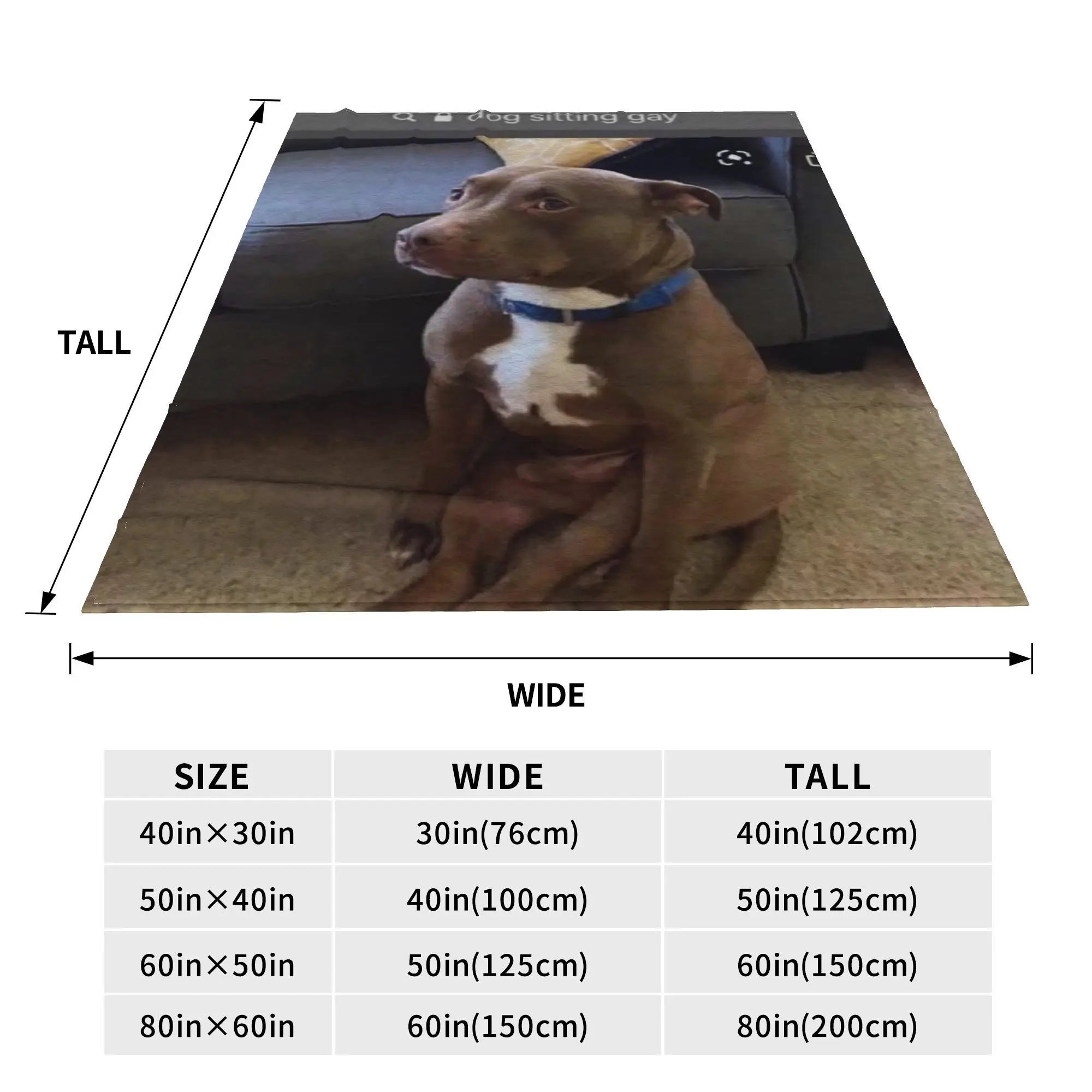 dog sitting gay Blankets Soft Warm Flannel Throw Blanket Cover for Bed Living room Picnic Travel Home Sofa