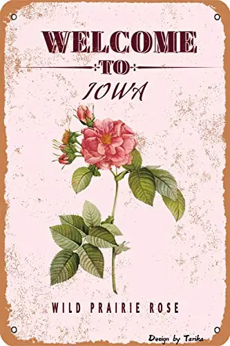 Welcome to Iowa-Wild Prairie Rose State and Territory Flowers Plants Farm Garden Country Wall Decoration Iron Poster Painting Ti