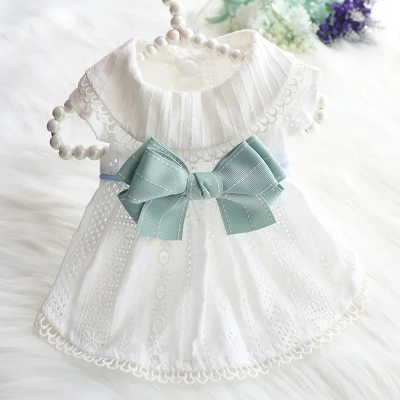 Gonna sottile primaverile ed estiva per cane, Lolita Princess Mint Butterfly Cat Pet Clothes