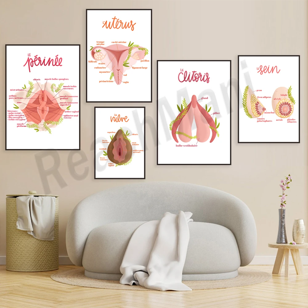 Floral uterus artwork, anatomy illustration poster, midwife gift, ovary, gynecologist gift, art doula gift female gift anatomy