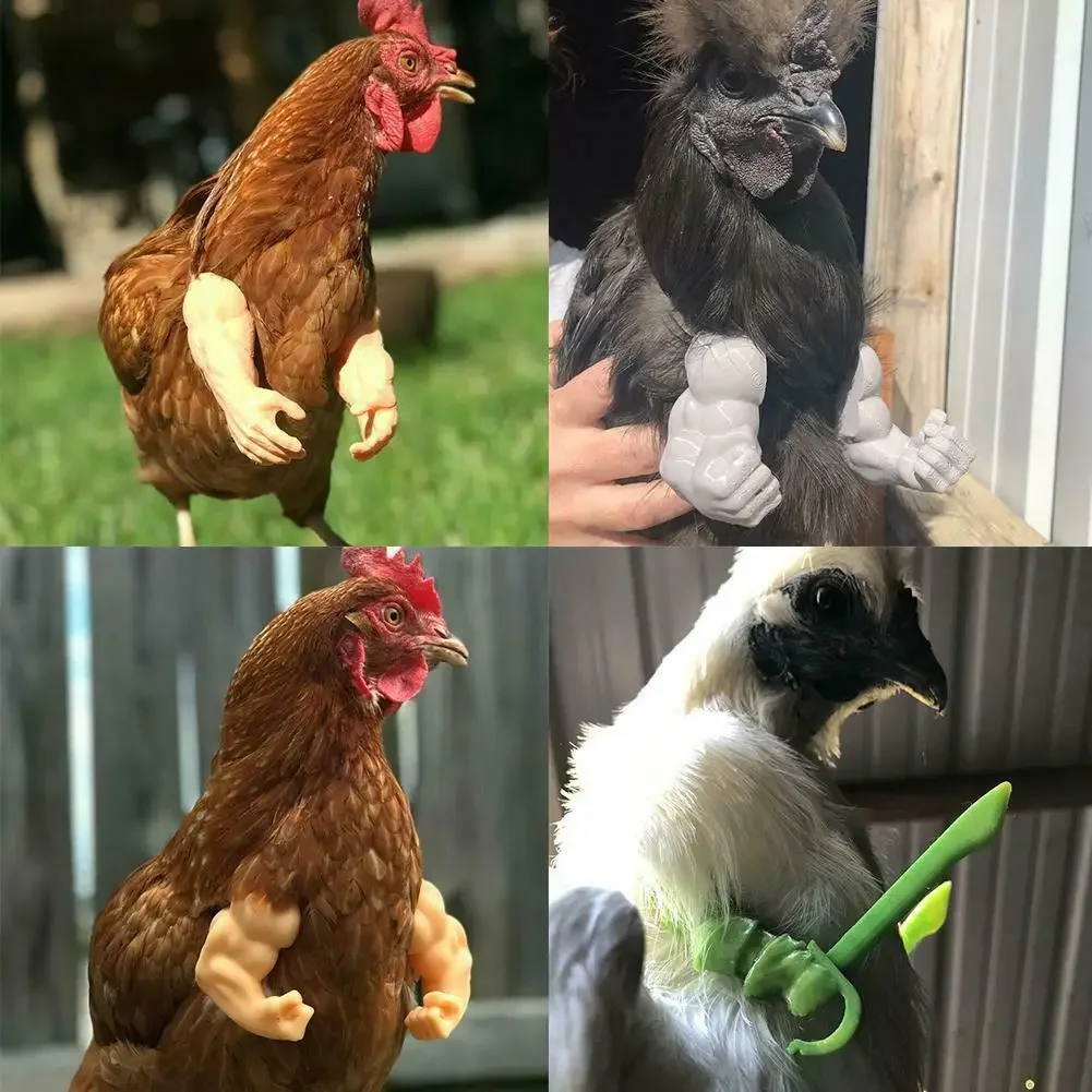 Juguete de manos de pollo, regalo de mordaza, casco de muñeca para gallinas, decoración de aves divertida, músculos, brazos, juguetes para hacer que su pato se vuelva Viral