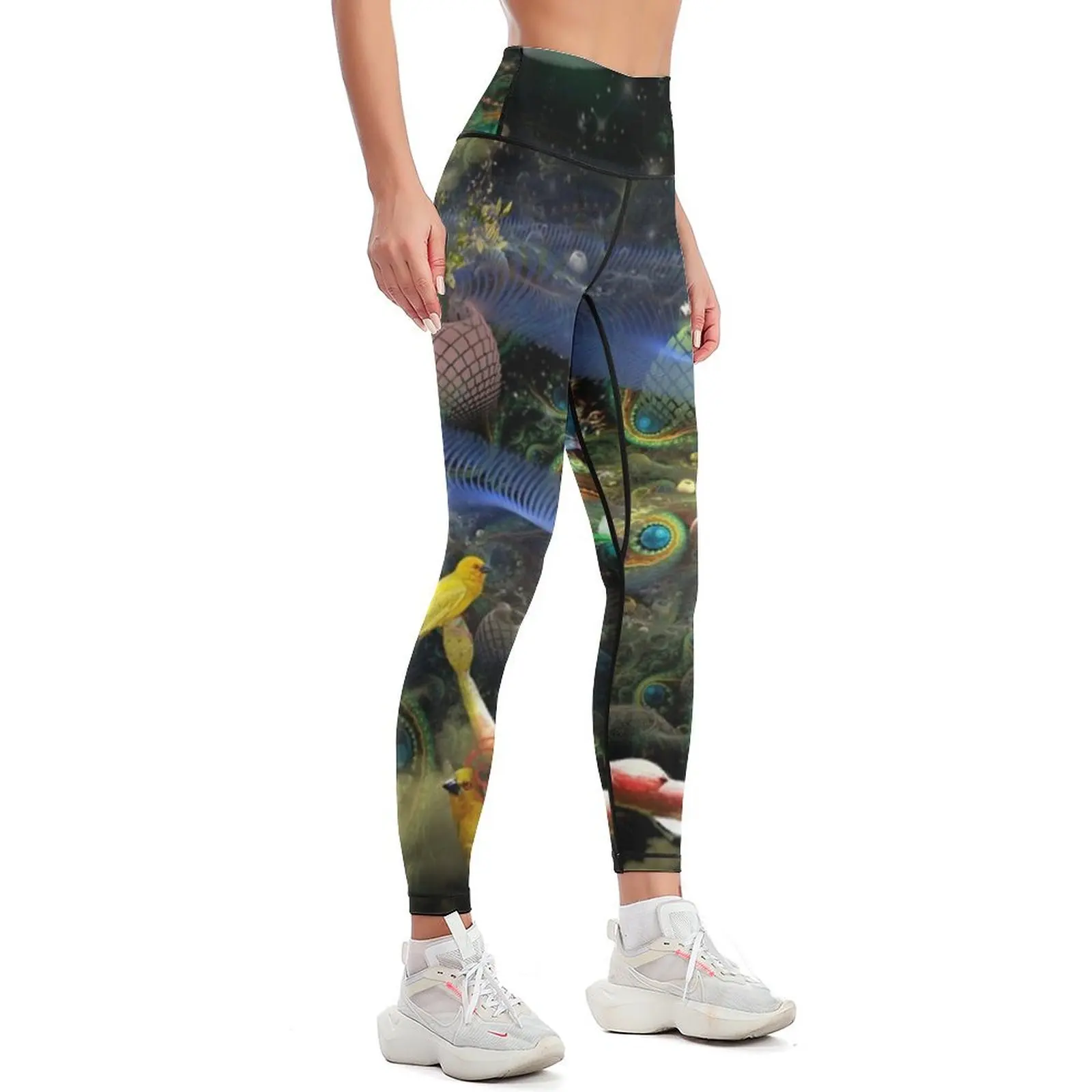 The History of the Bioluminoidal Fractalization Process Leggings jogging pants Golf wear Sportswear woman gym Womens Leggings