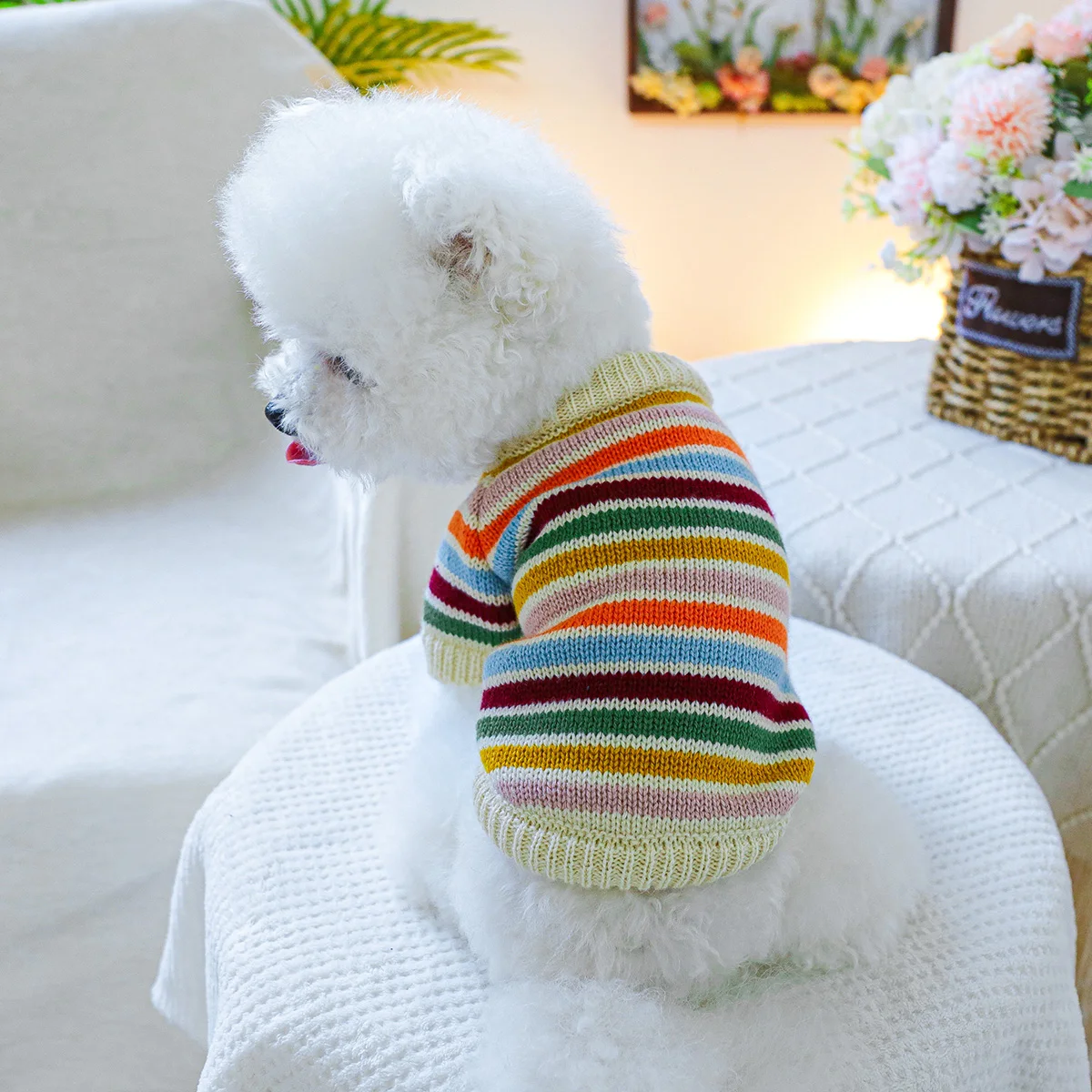 1PC pet clothing dog cat spring and autumn pullover rainbow mood sweater suitable for small and medium-sized dogs