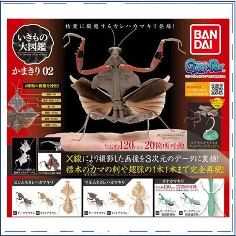 BANDAI Mantis Deroplatys Insects Biological Encyclopedia Gashapon Christmas Gifts PVC Original Anime Action Figure Model Toys