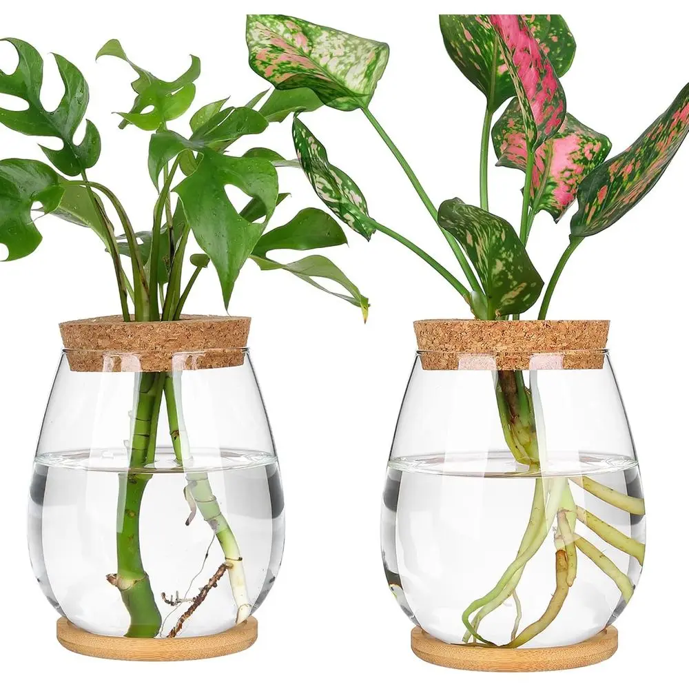 

2 Pcs Propagation Vases, Tabletop Plant Terrarium or Propagating Hydroponic, Glass Terrarium Vase Jars, Home Kitchen Decorations