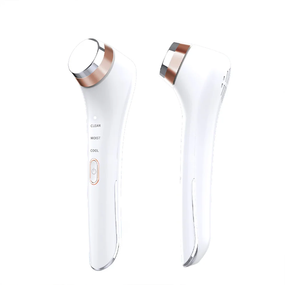 Home Use Gaanic Facial Beauty Device for Skin Care & Ion Face Lifting Imported Personal Care Product