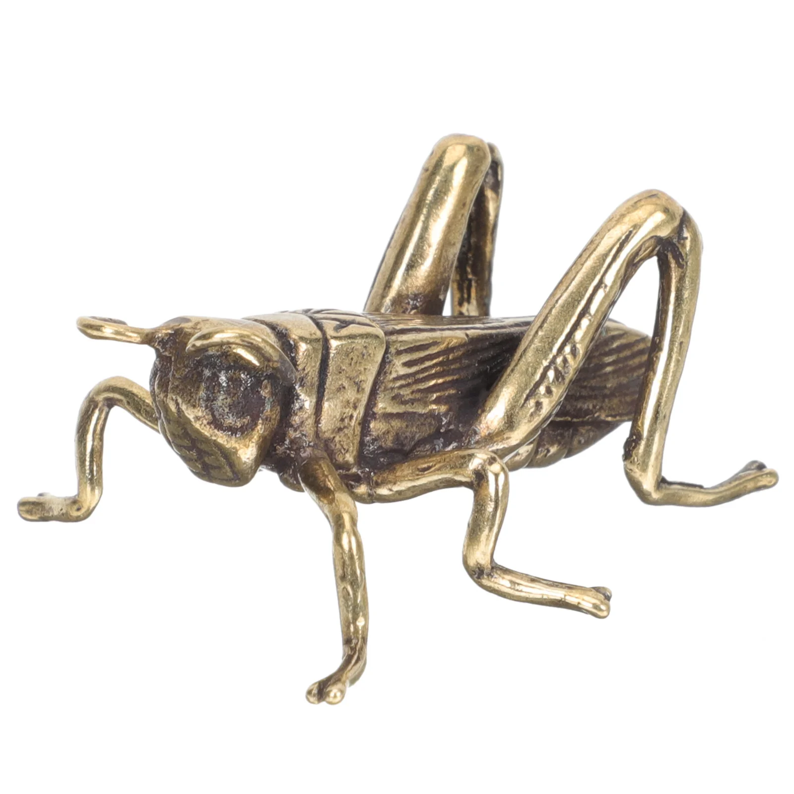 

Animal Cricket Ornaments Man Home Decor Artificial Succulent Plants Brass Garden