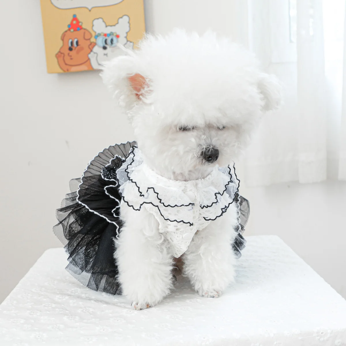 1PC Pet Clothes Spring and Autumn White Black # 19 Wedding Dress Princess Dress Suitable for Small and Medium sized Dogs