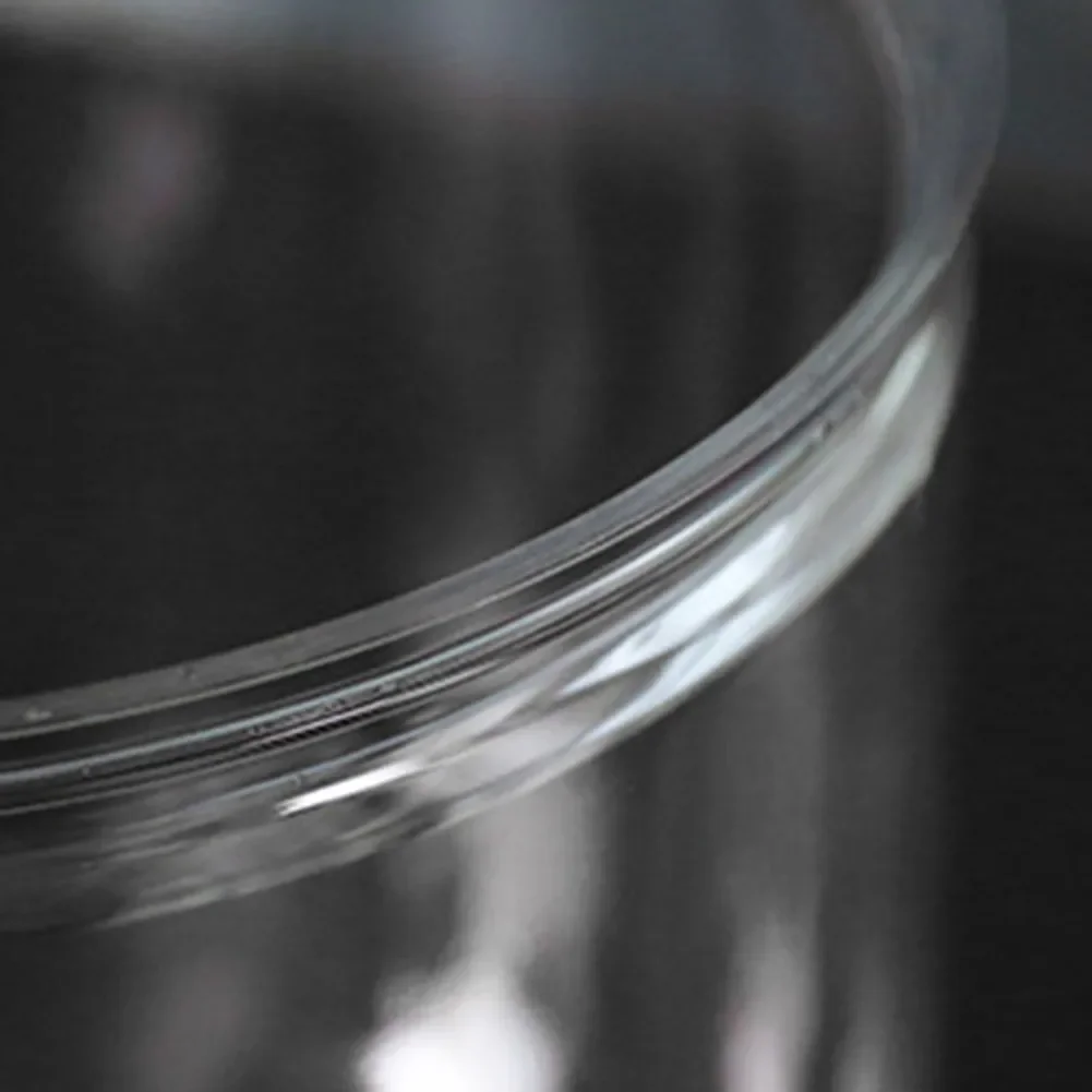 Breathable Transparent Flower Pot Constructed from PP Resin for Home Garden Office and Hotel Green Applications
