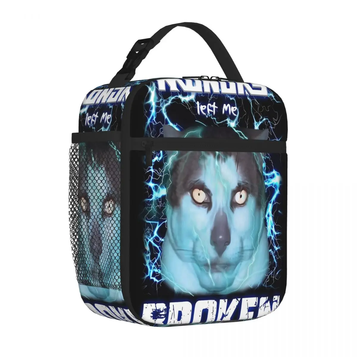 Bestselling MONDAY LEFT ME BROKEN CAT Quilted Insulated Tote After School Snack Student Lunch Bag