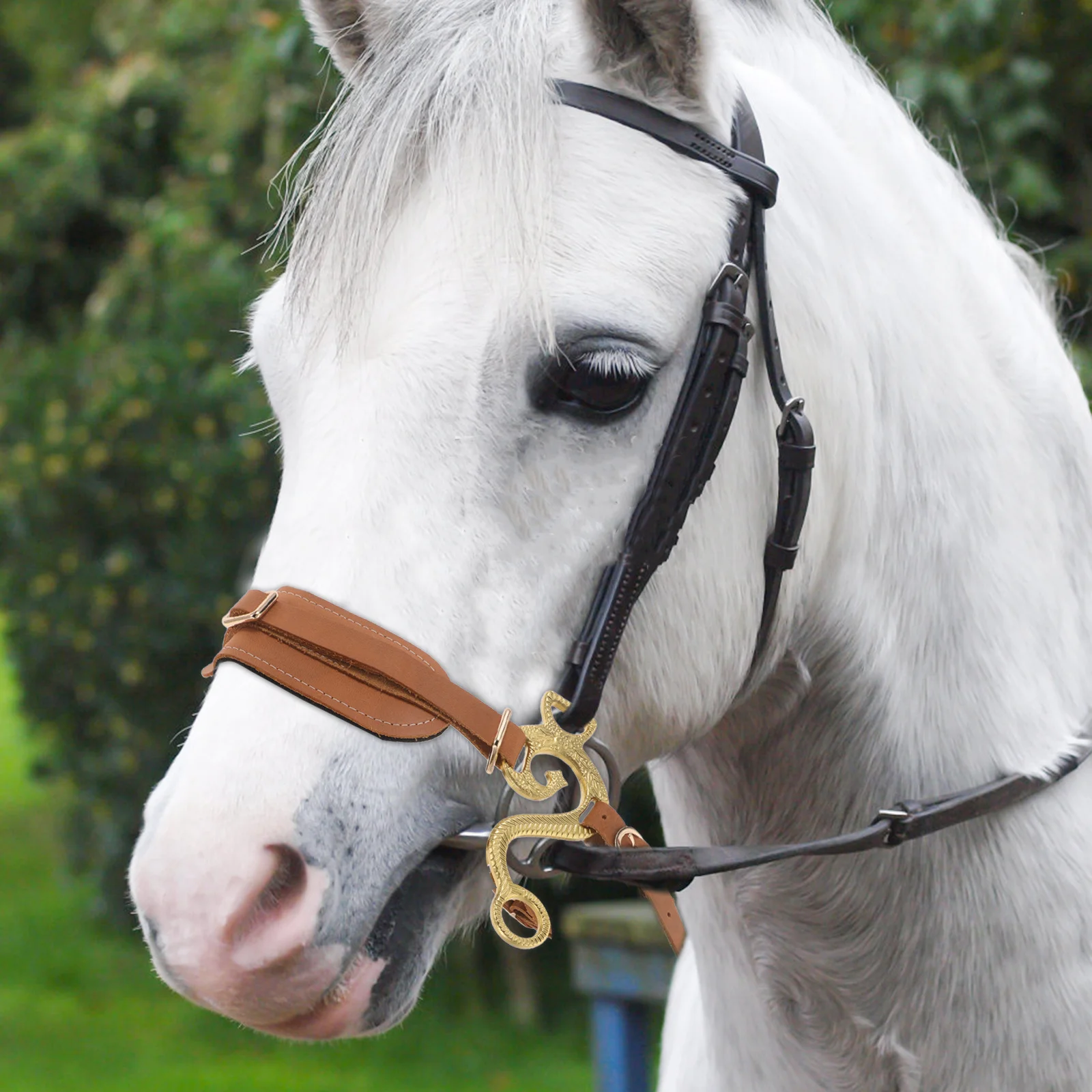 غطاء رأس من البولي يوريثان مبطن ناعم قابل للتعديل بدون لقم من Horse Bridle للتدريب على ركوب الخيل ومنافسة ركوب الخيل