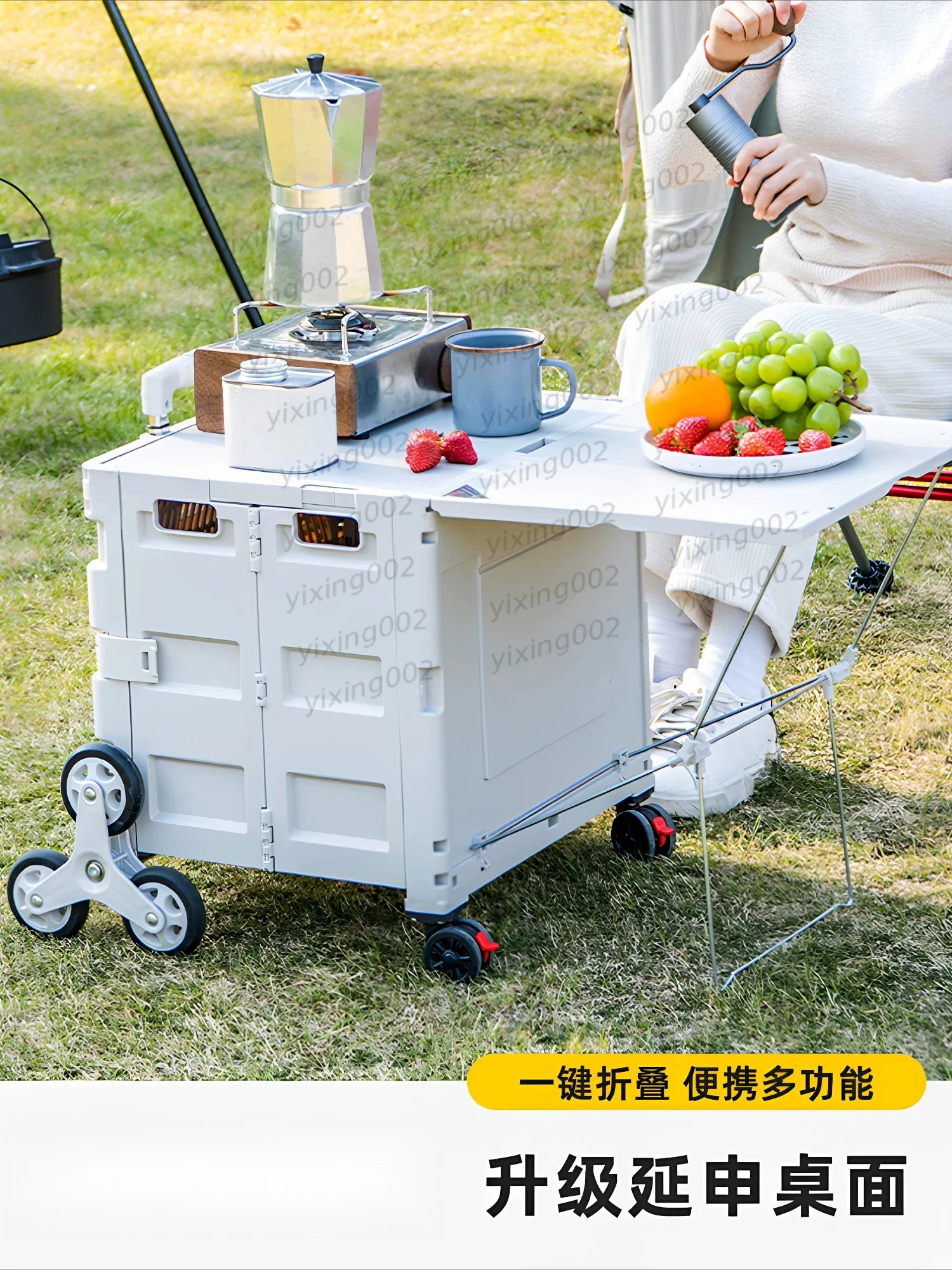 Foldable Shopping Cart Portable Hand Trolley Lightweight Pull Wagon for Grocery Package Camping Home Use